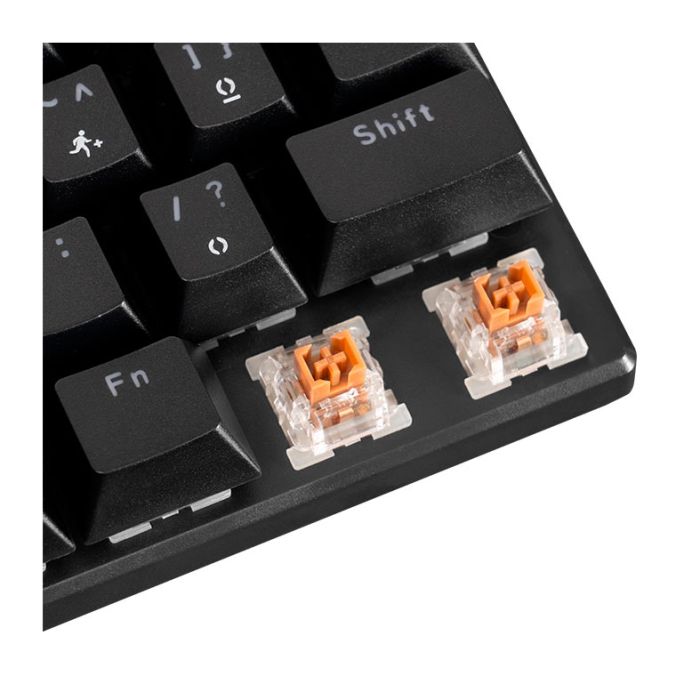 Teclado Mecanico TGT Sherman V3 C1, Rainbow, ABNT2, Switch Marrom, Preto, TGT-SHRC-BR01